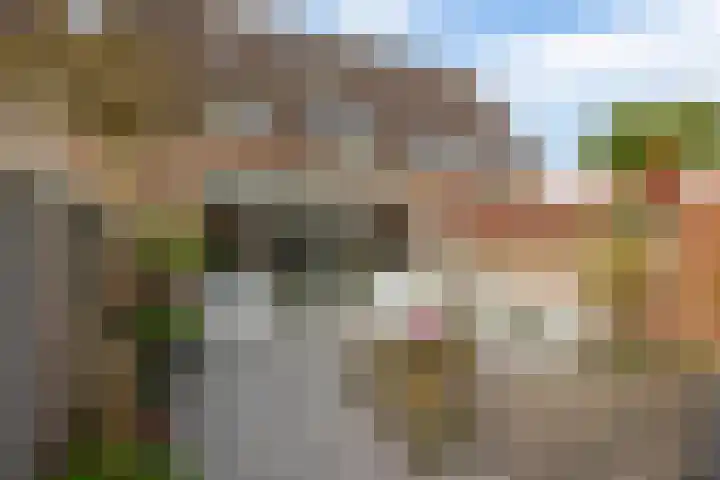 Staringstraat 61 Zevenhuizen thumbnail 30