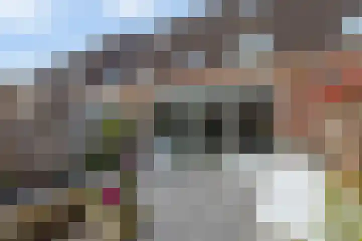 Staringstraat 61 Zevenhuizen thumbnail 31