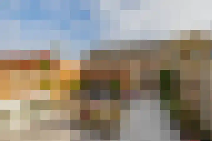 Staringstraat 61 Zevenhuizen thumbnail 32