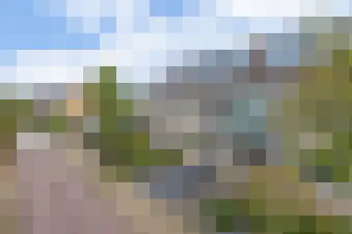 Staringstraat 61 Zevenhuizen thumbnail 4