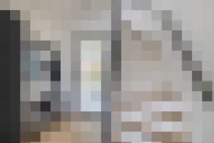 Staringstraat 61 Zevenhuizen thumbnail 6