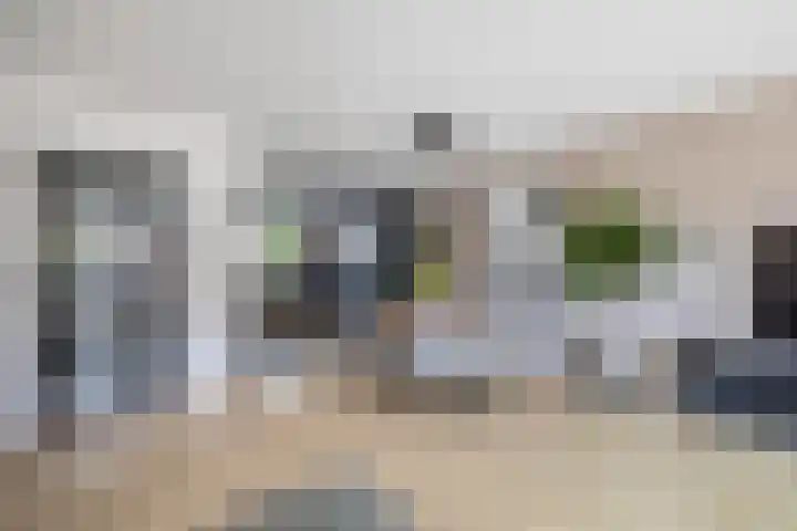 Staringstraat 61 Zevenhuizen thumbnail 9