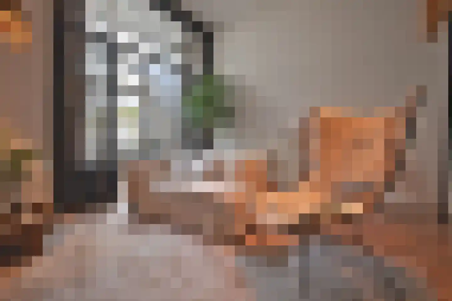 Staringstraat 7 Nijmegen thumbnail 11