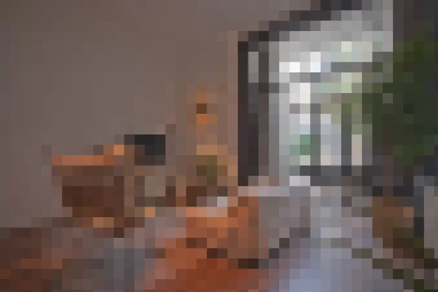 Staringstraat 7 Nijmegen thumbnail 12