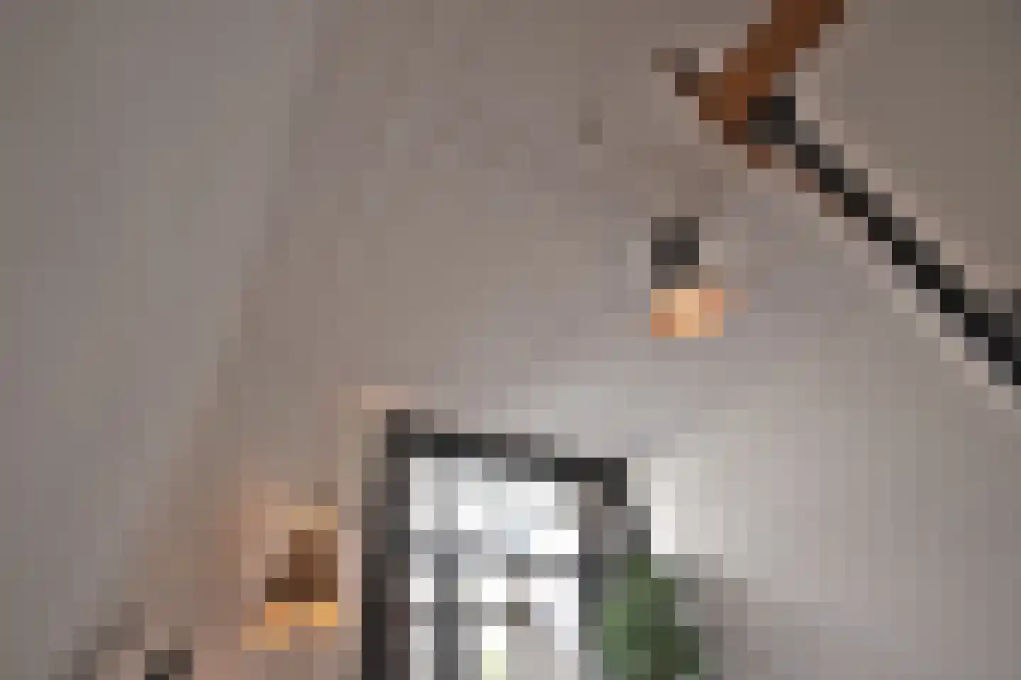 Staringstraat 7 Nijmegen thumbnail 15