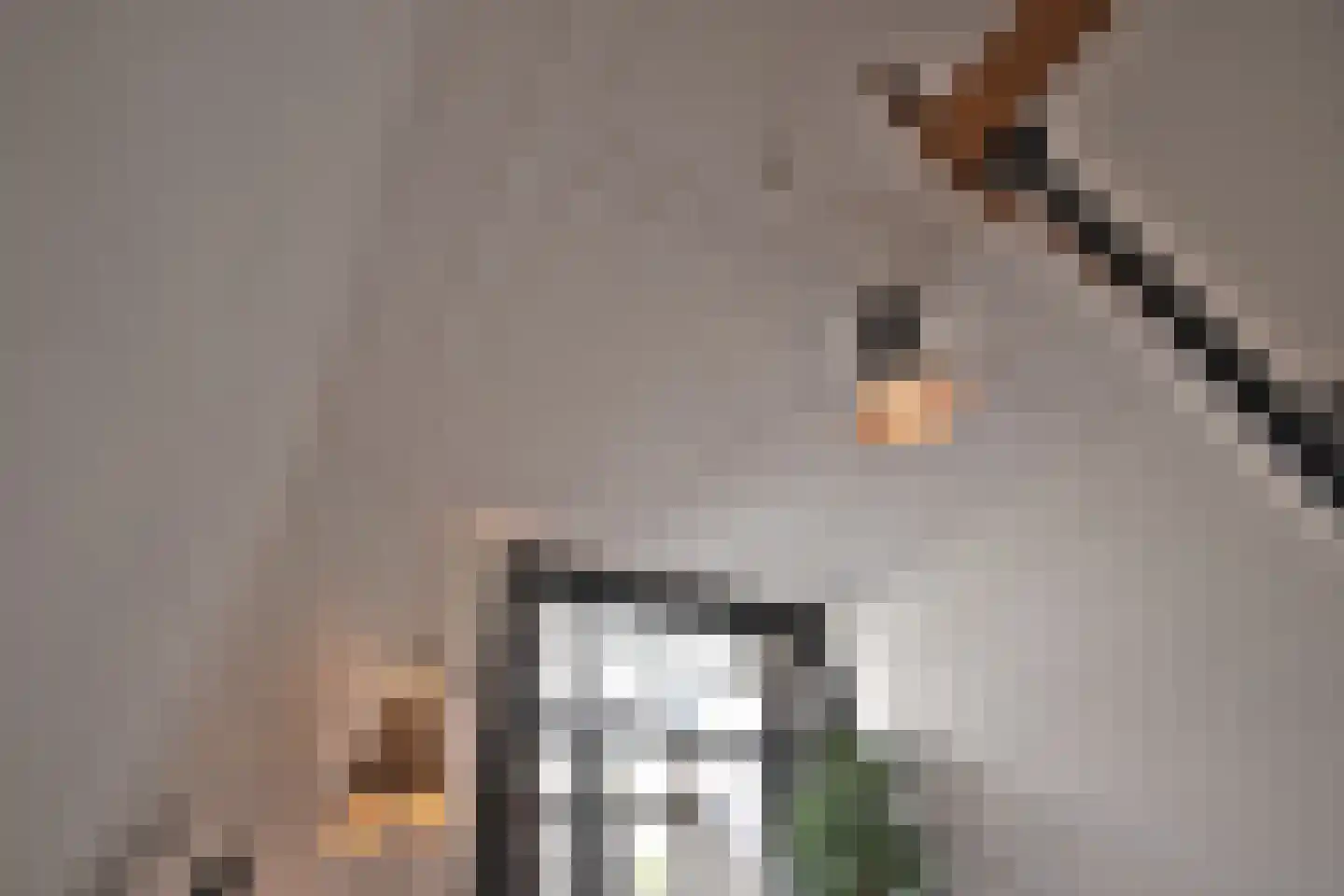 Staringstraat 7 Nijmegen thumbnail 15