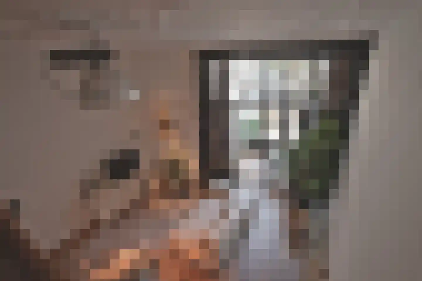 Staringstraat 7 Nijmegen thumbnail 26