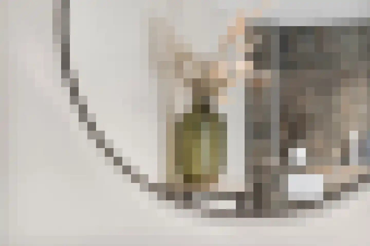 Staringstraat 73 Arnhem thumbnail 36
