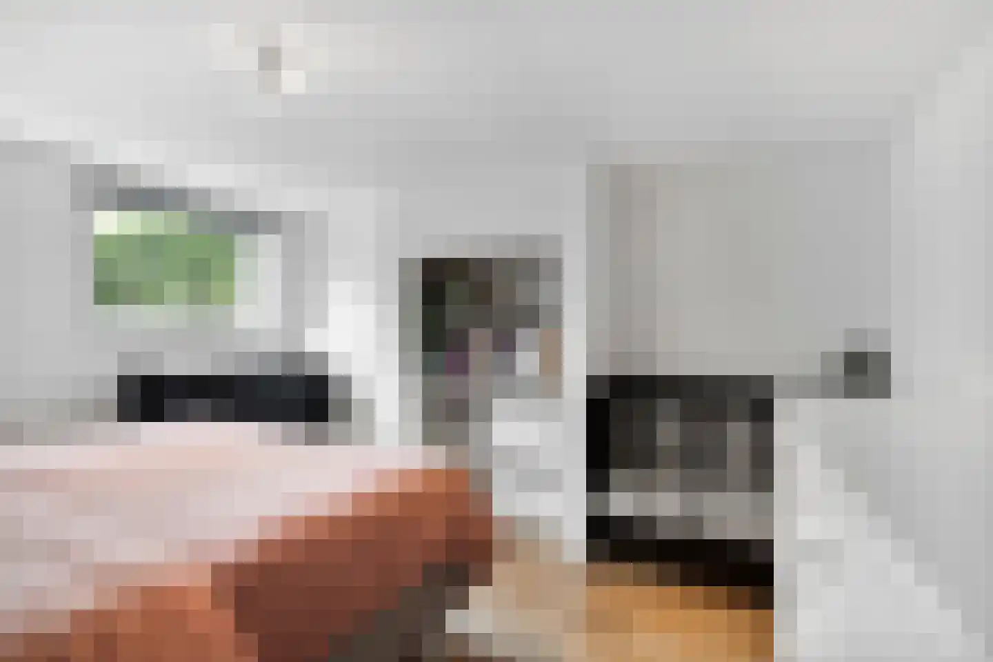 Staringstraat 73 Arnhem thumbnail 39