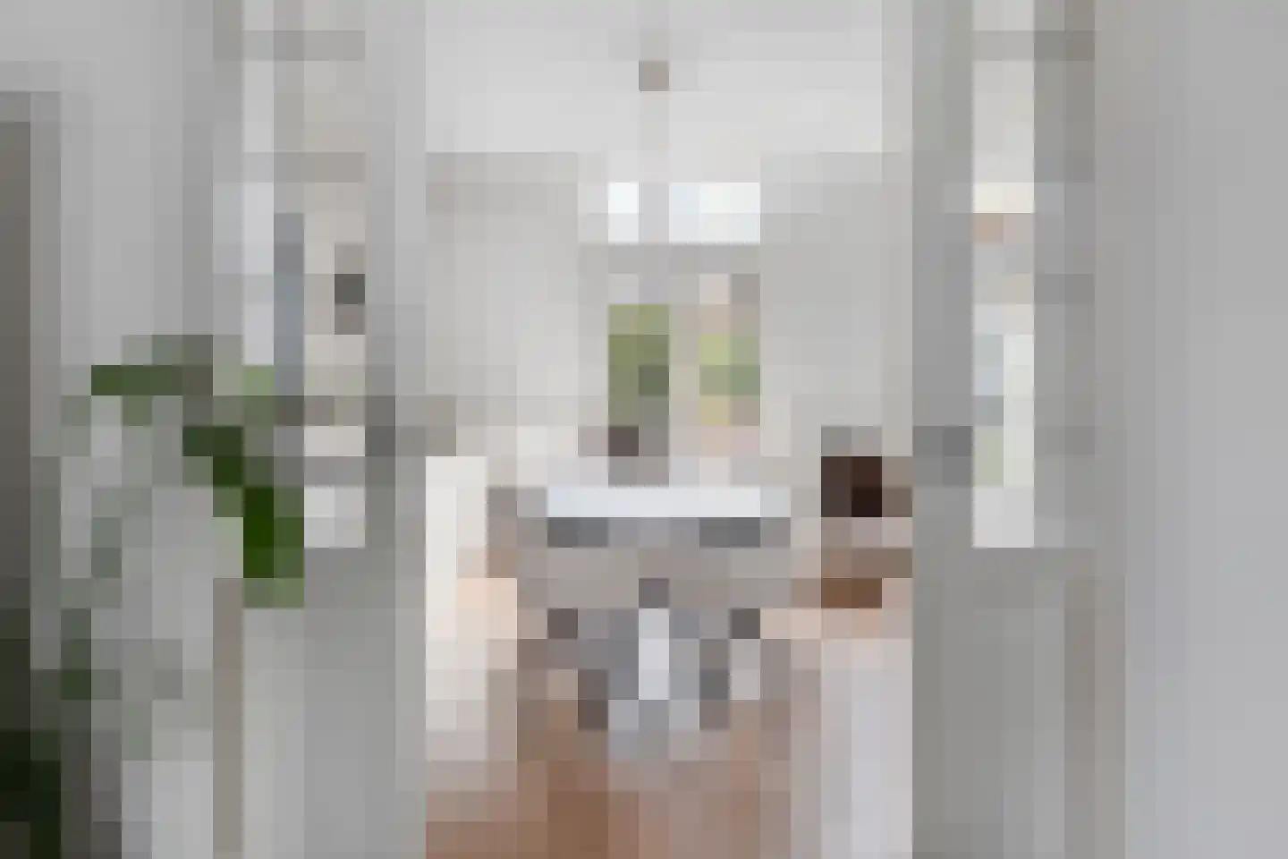 Staringstraat 73 Arnhem thumbnail 4