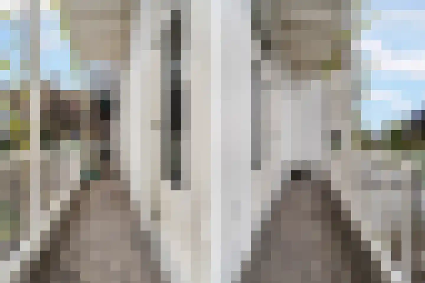 Staringstraat 73 Arnhem thumbnail 47
