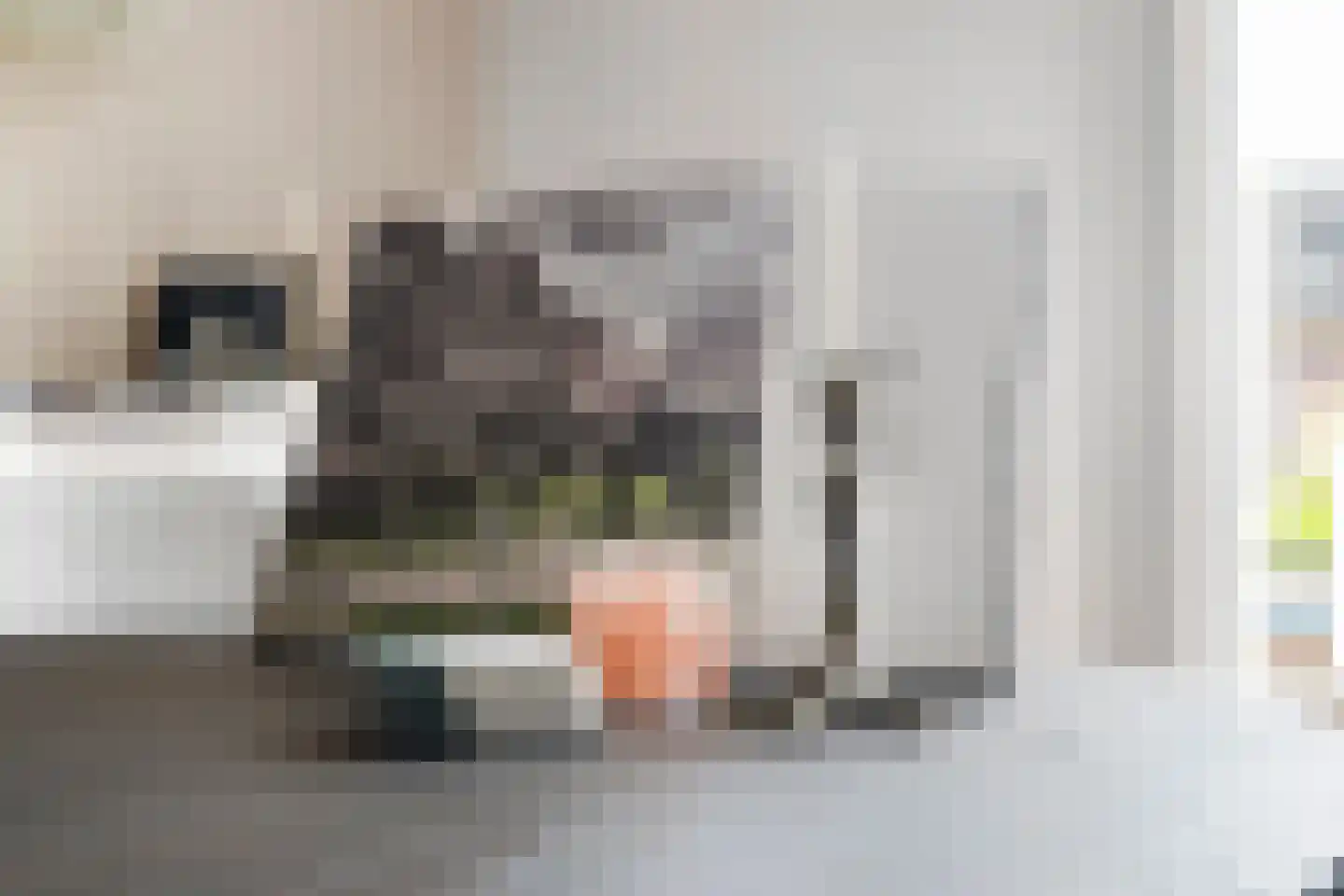 Staringstraat 73 Arnhem thumbnail 5