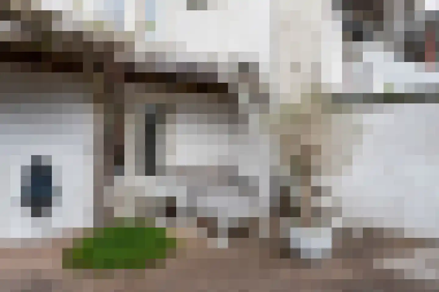 Staringstraat 73 Arnhem thumbnail 50