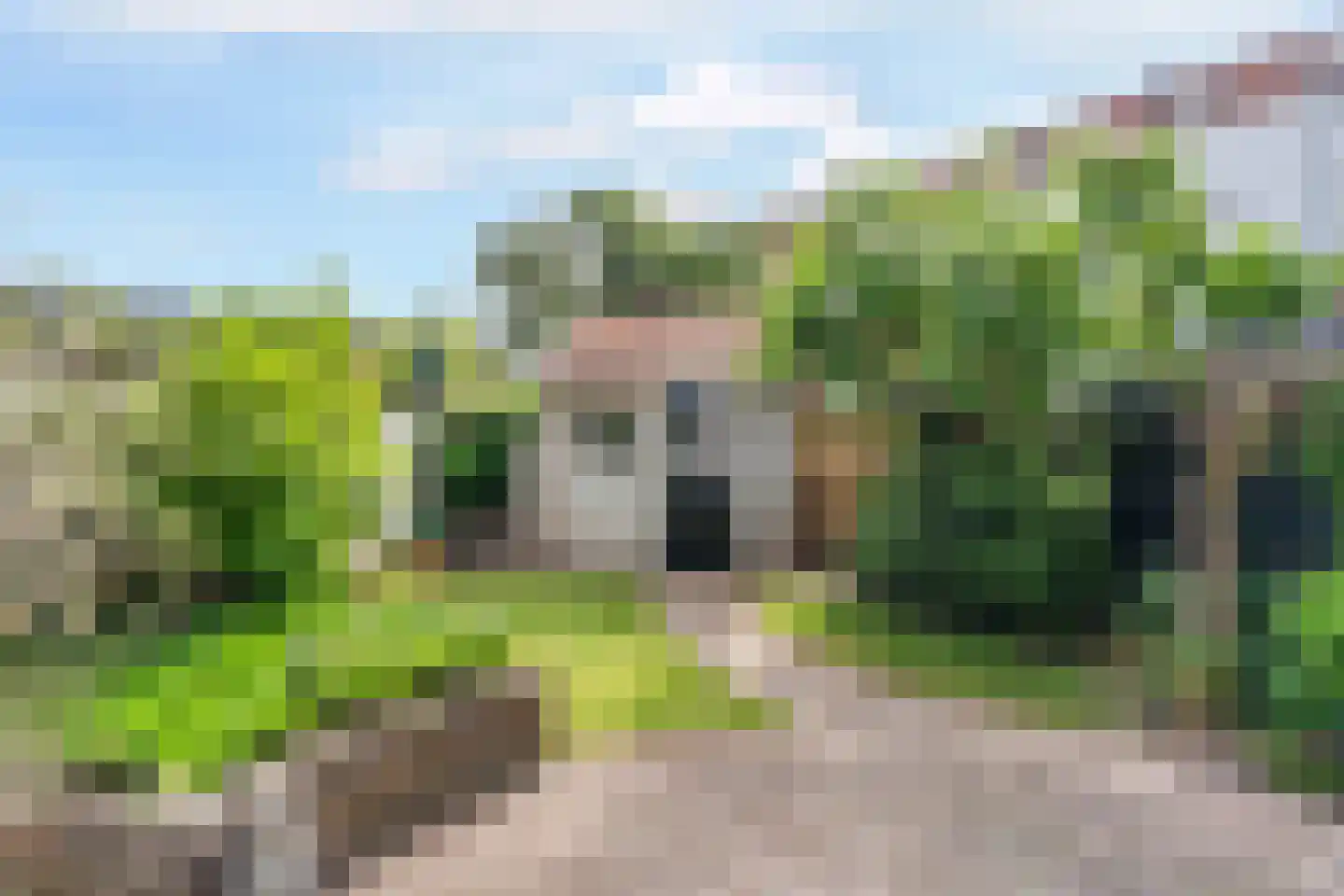 Staringstraat 73 Arnhem thumbnail 54