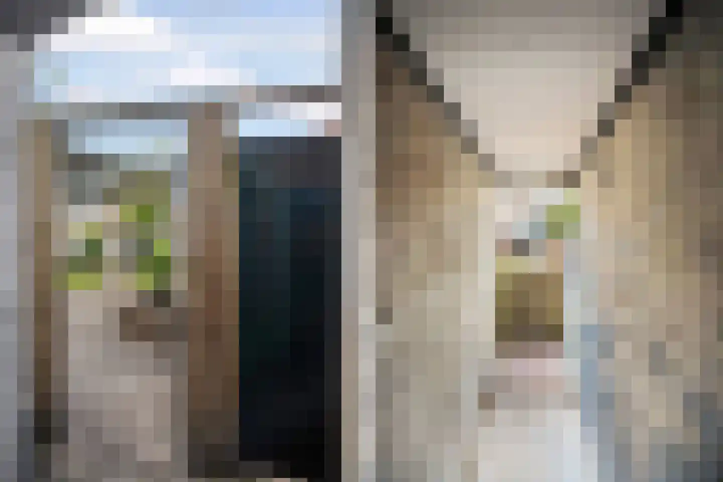 Staringstraat 73 Arnhem thumbnail 56