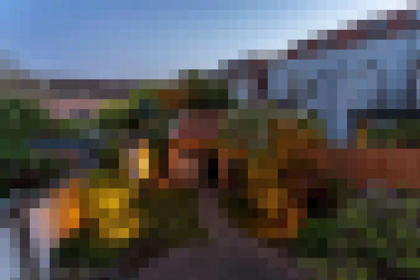 Staringstraat 73 Arnhem thumbnail 58
