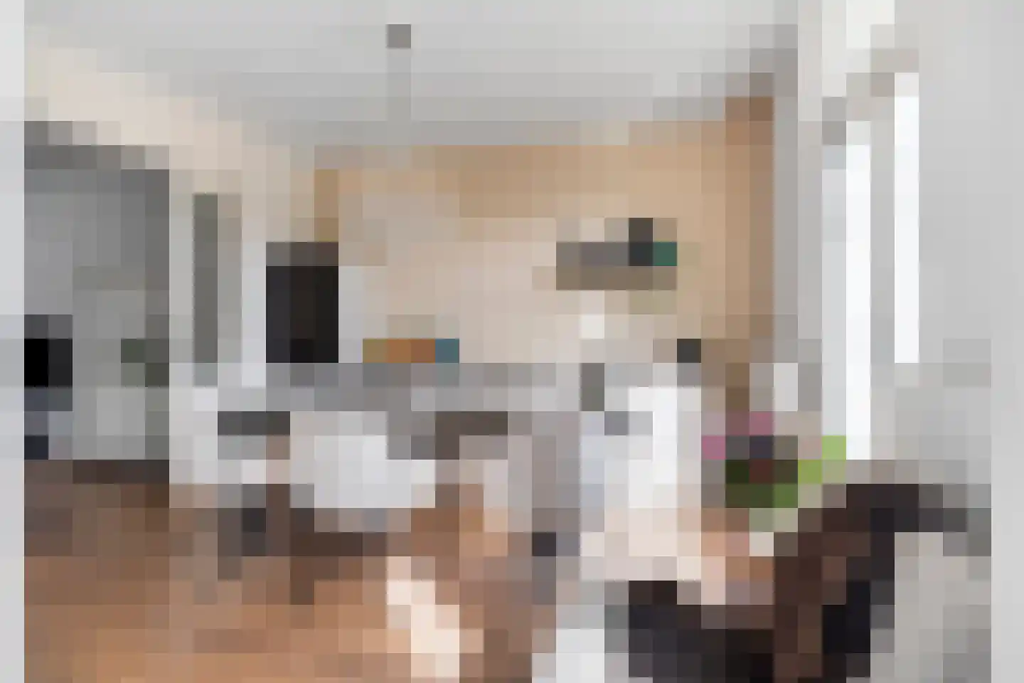 Staringstraat 73 Arnhem thumbnail 8