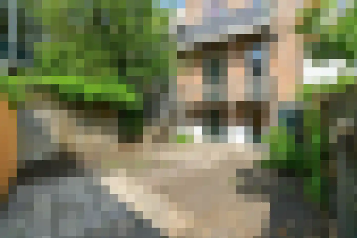 Staringstraat 79 Arnhem thumbnail 28