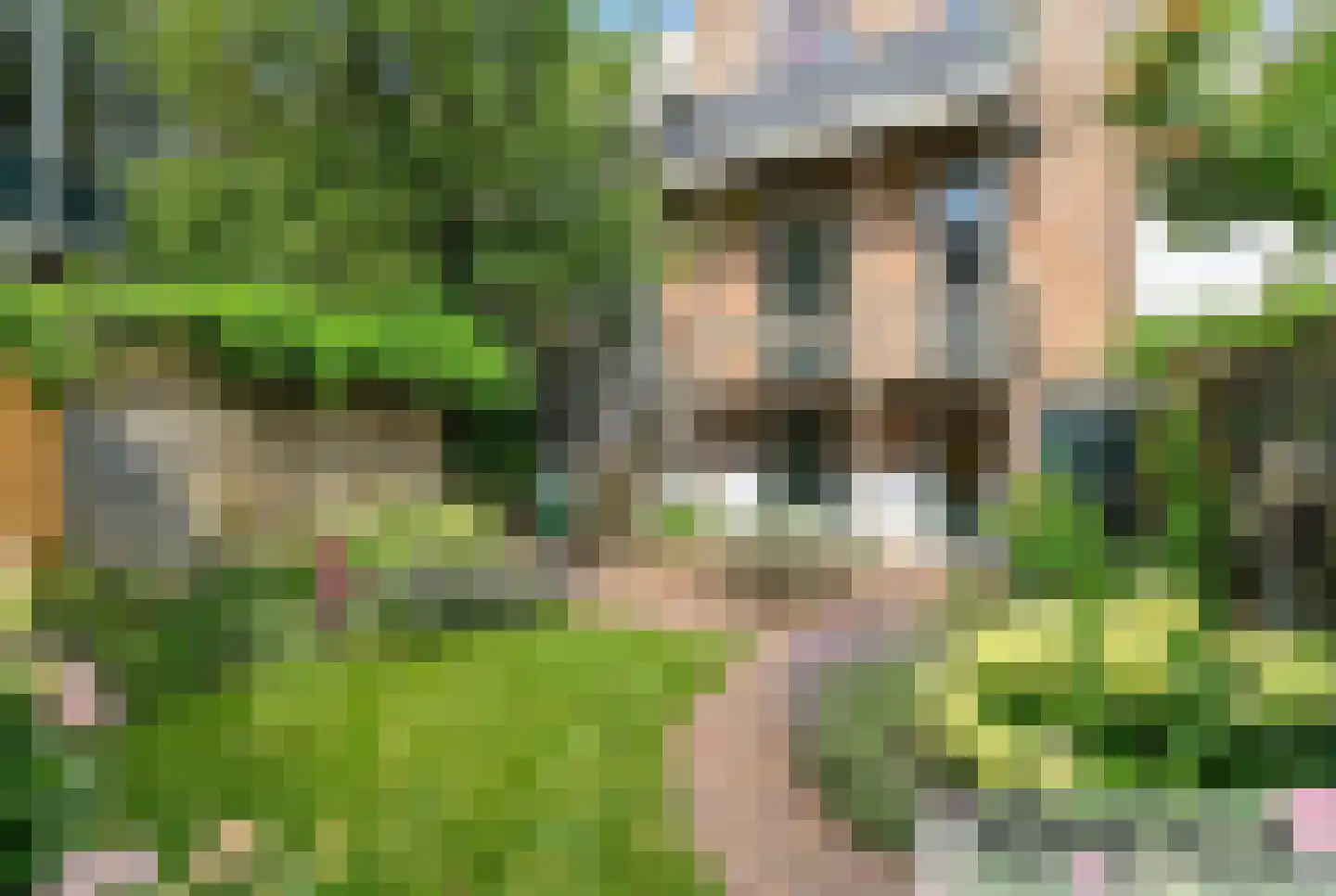 Staringstraat 79 Arnhem thumbnail 29
