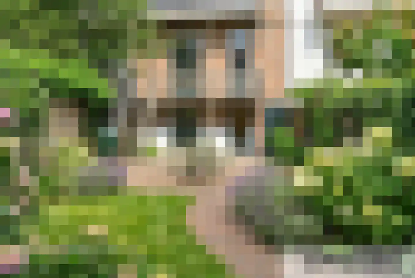 Staringstraat 79 Arnhem thumbnail 30