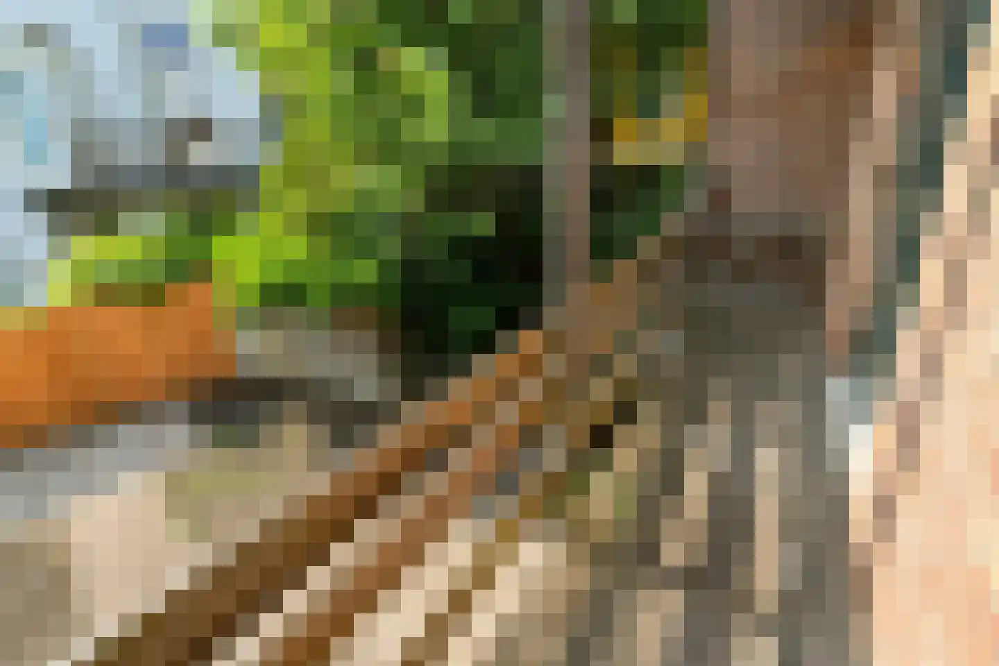 Staringstraat 79 Arnhem thumbnail 32
