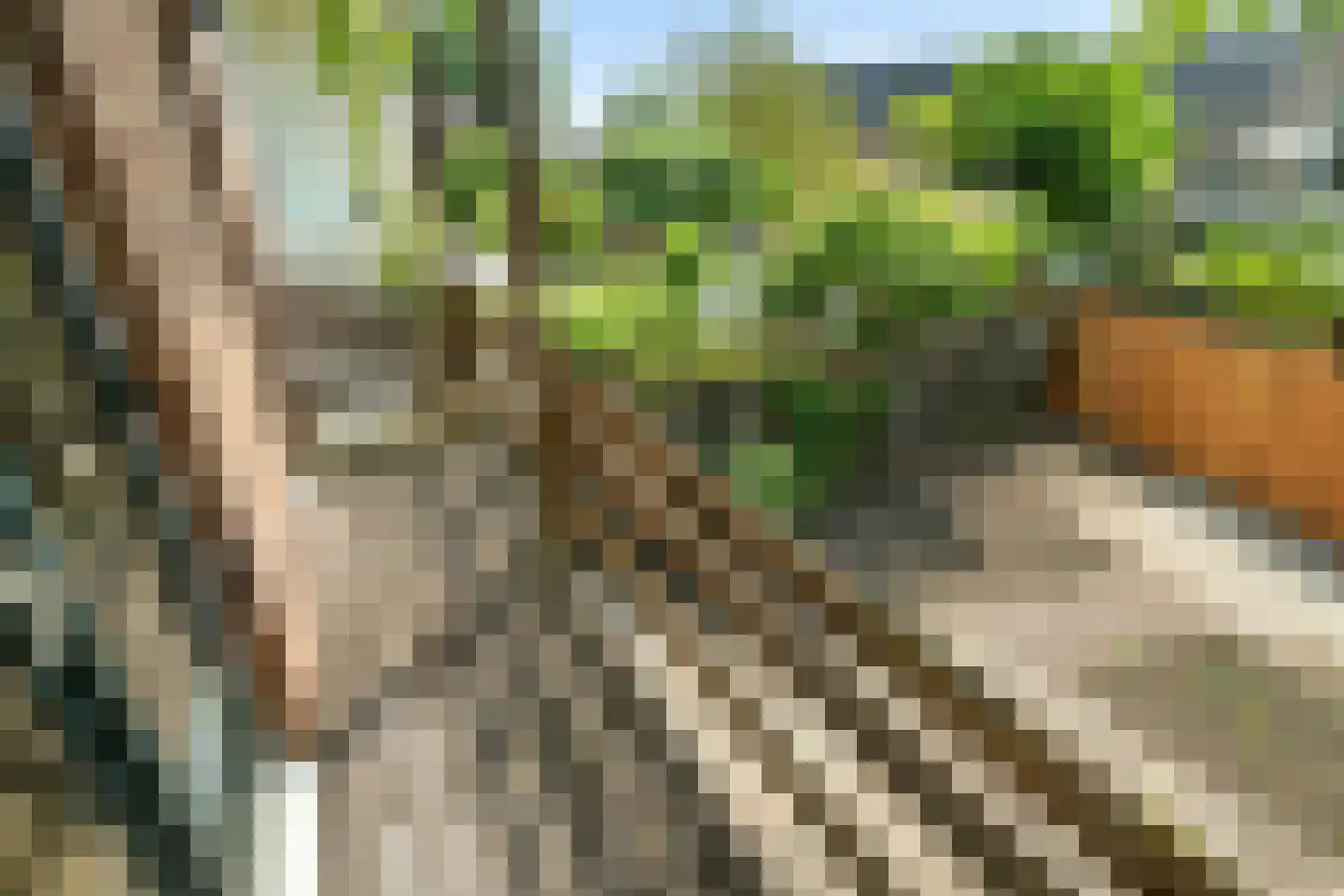 Staringstraat 79 Arnhem thumbnail 33