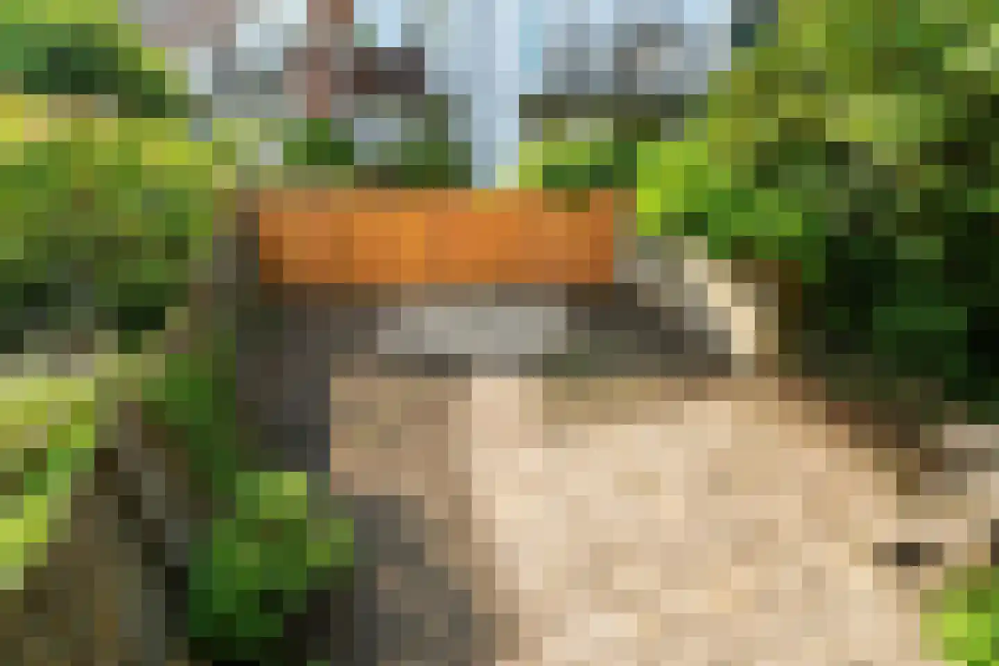 Staringstraat 79 Arnhem thumbnail 37