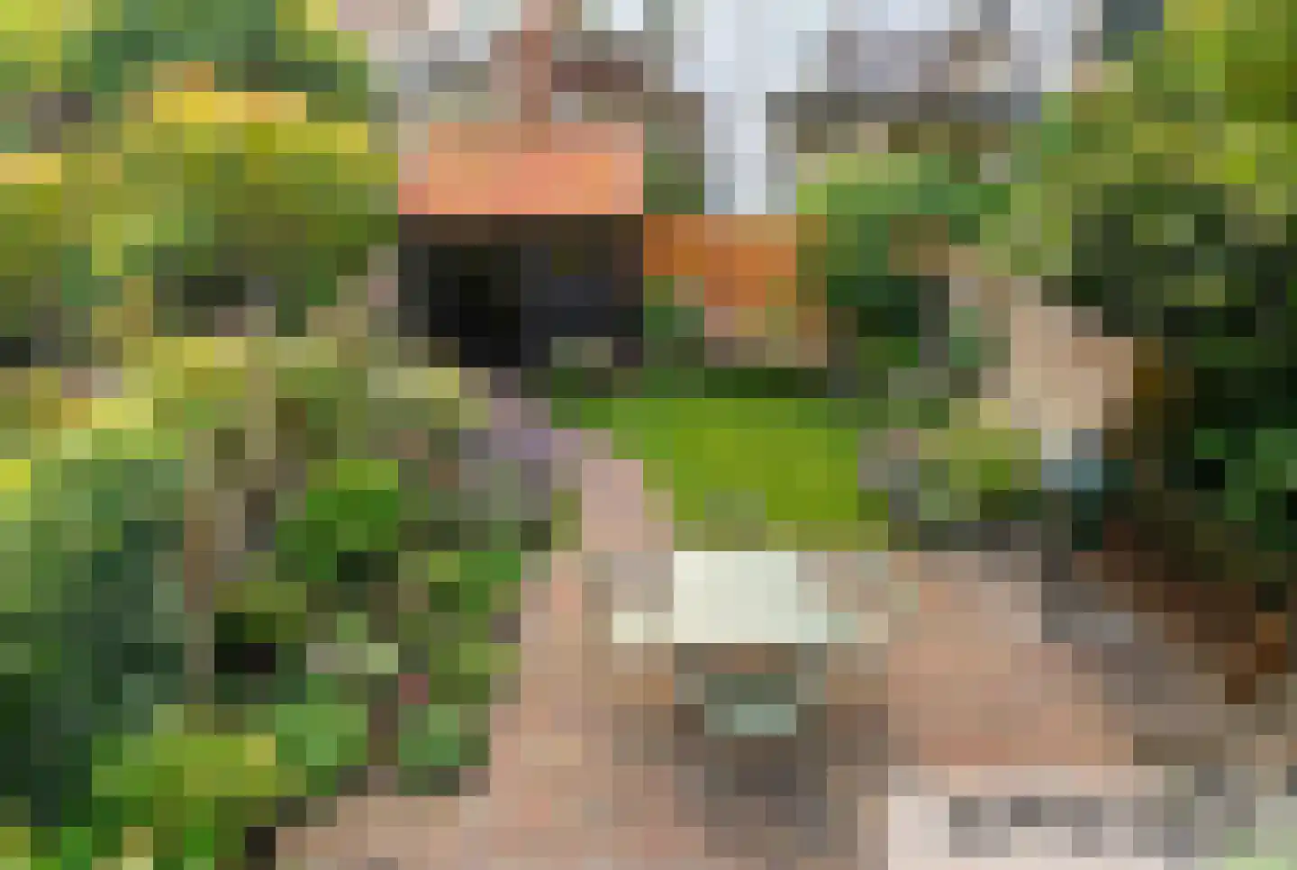 Staringstraat 79 Arnhem thumbnail 38