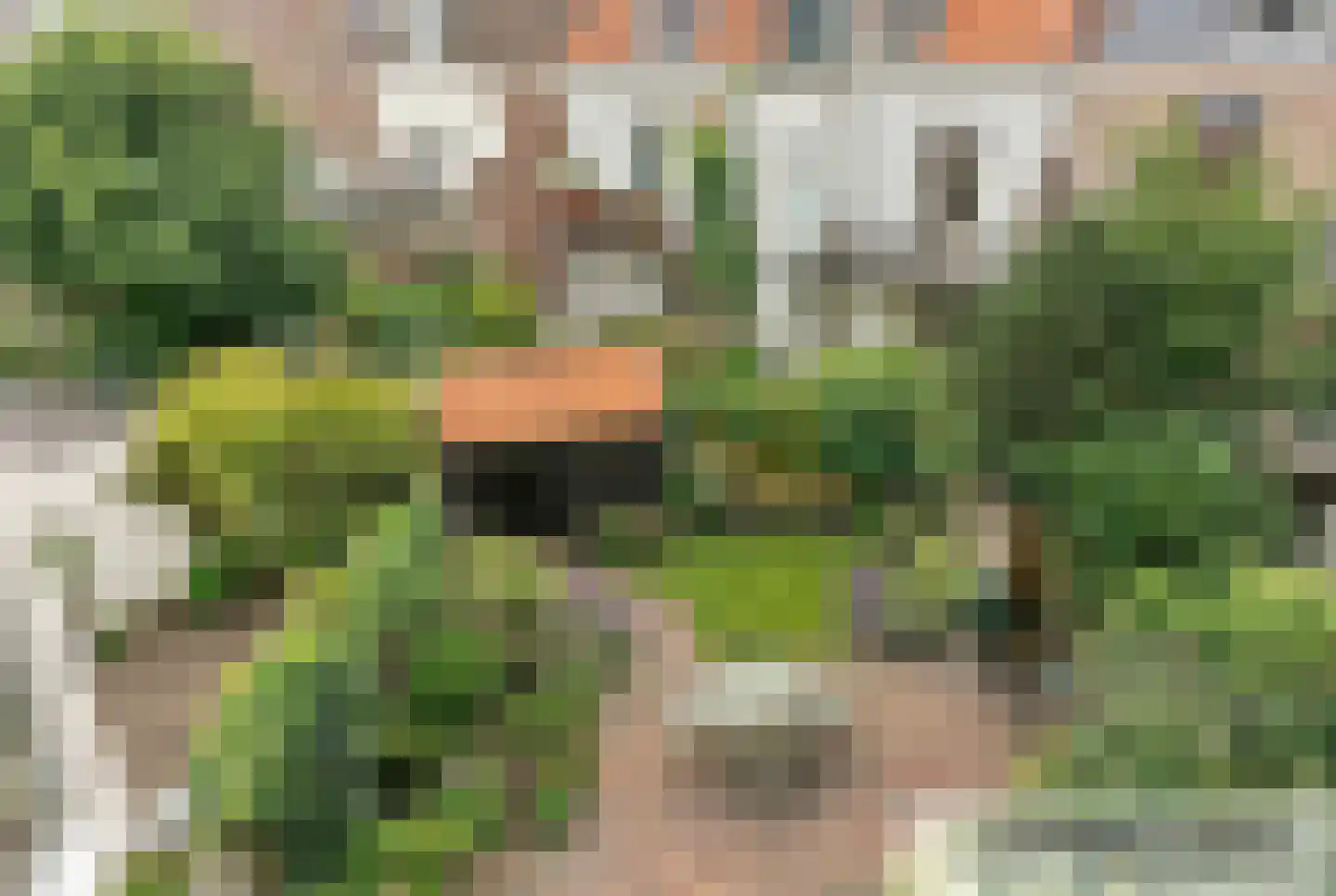 Staringstraat 79 Arnhem thumbnail 39