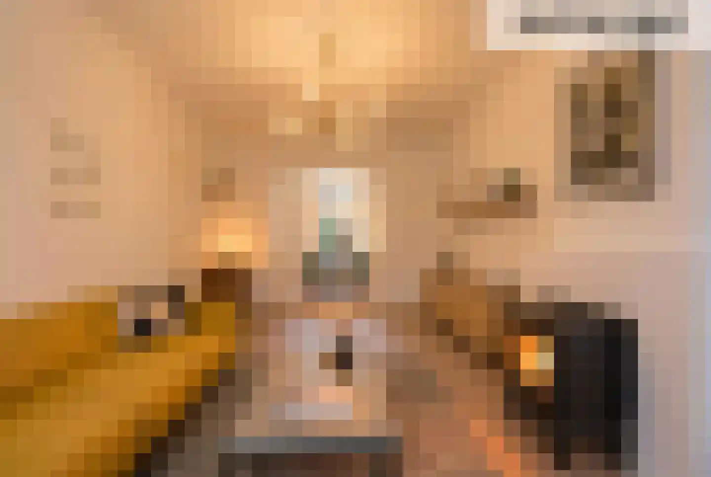 Staringstraat 79 Arnhem thumbnail 9