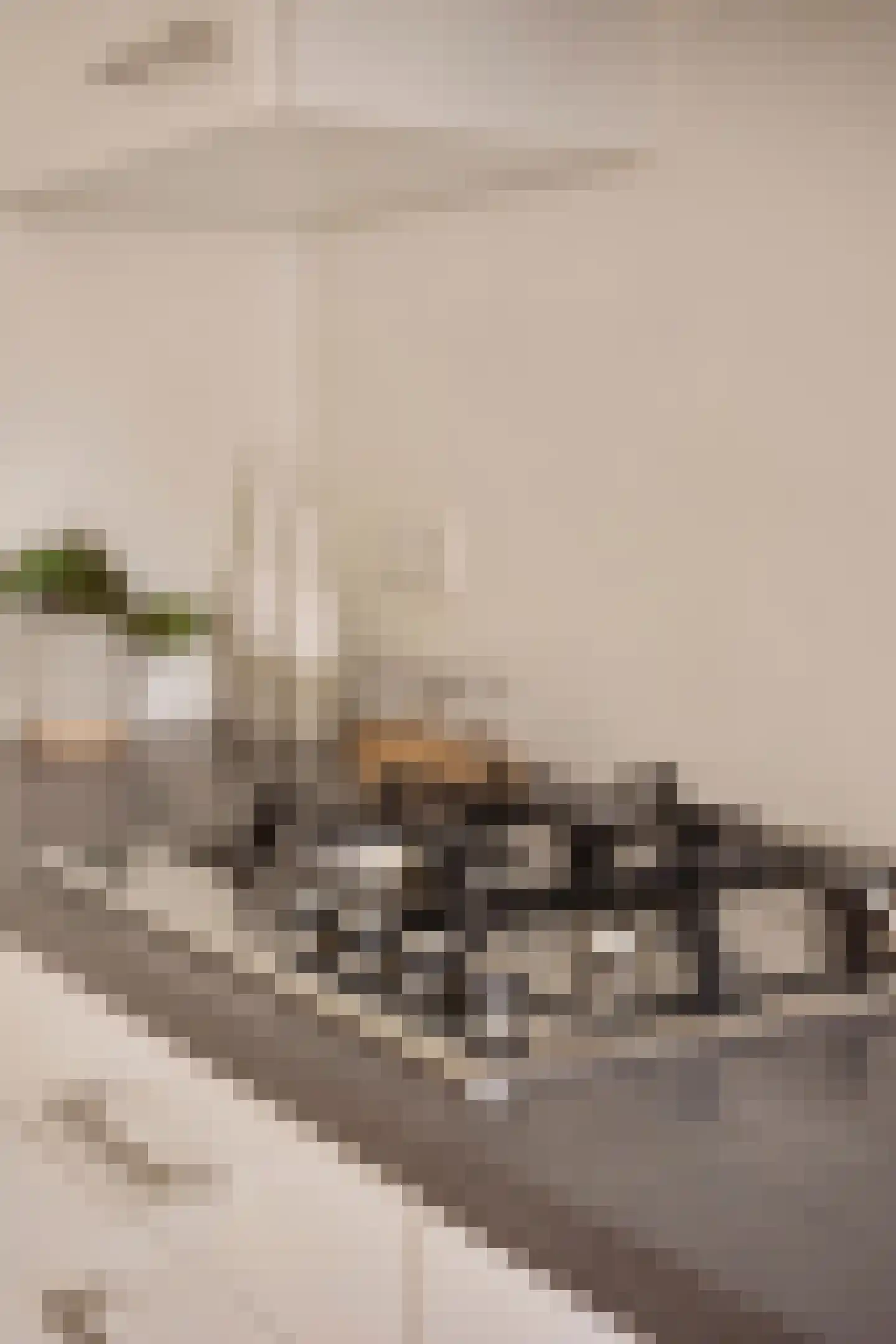 Staringstraat 8 3 Amsterdam thumbnail 12