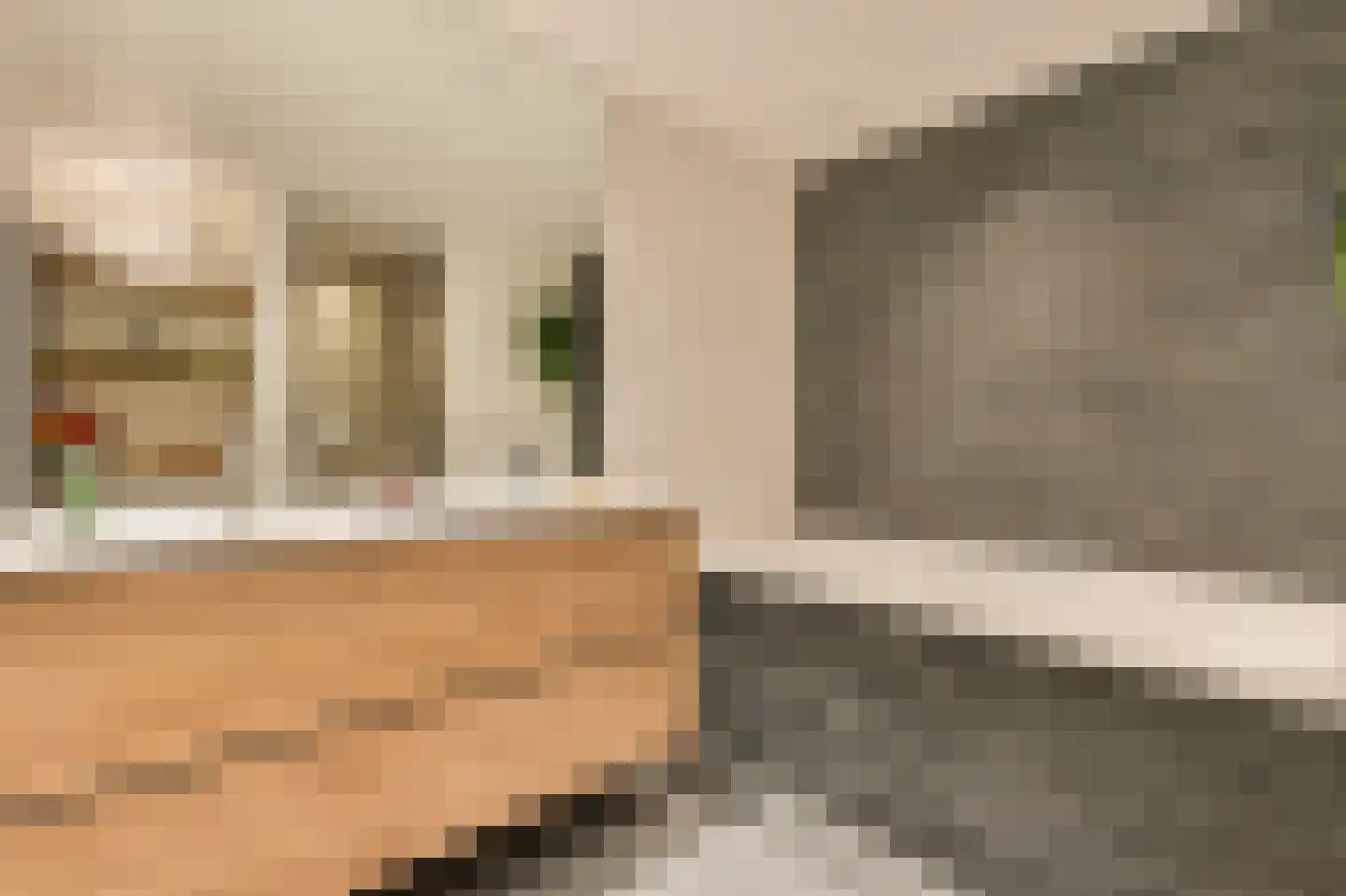 Staringstraat 8 3 Amsterdam thumbnail 27