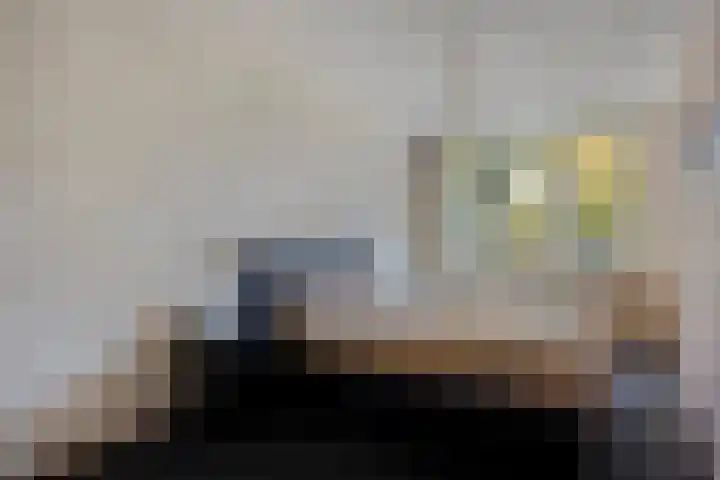 Staringstraat 84 Oss thumbnail 20