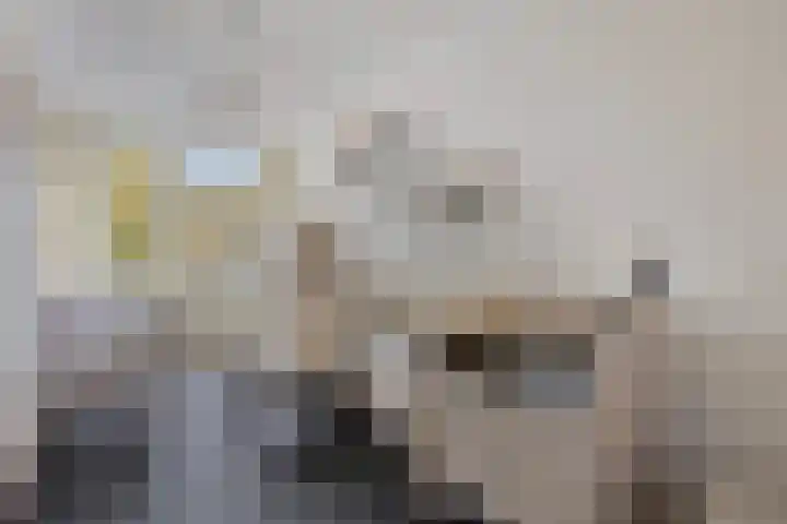 Staringstraat 84 Oss thumbnail 22