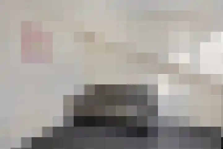 Staringstraat 84 Oss thumbnail 30