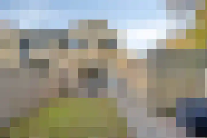 Staringstraat 84 Oss thumbnail 32