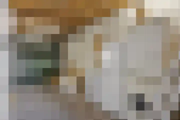 Staringstraat 84 Oss thumbnail 35