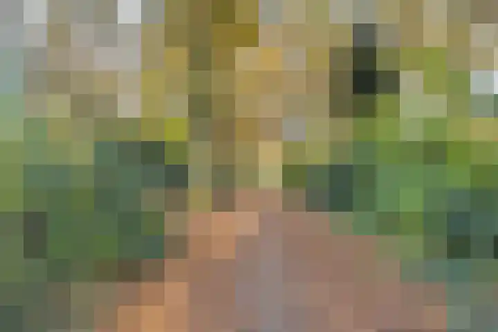 Staringstraat 84 Oss thumbnail 37