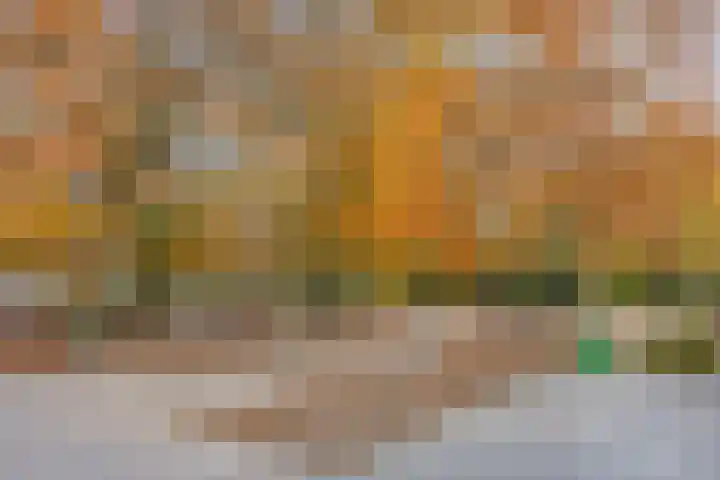 Staringstraat 84 Oss thumbnail 38