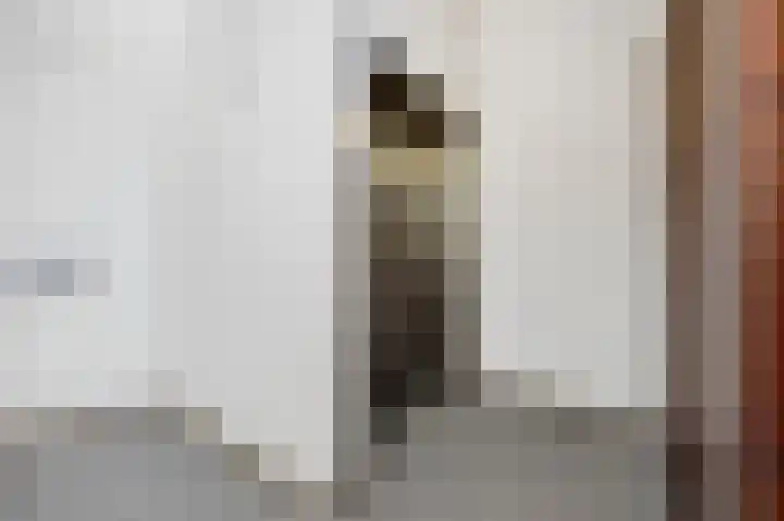 Staringstraat 84 Oss thumbnail 41