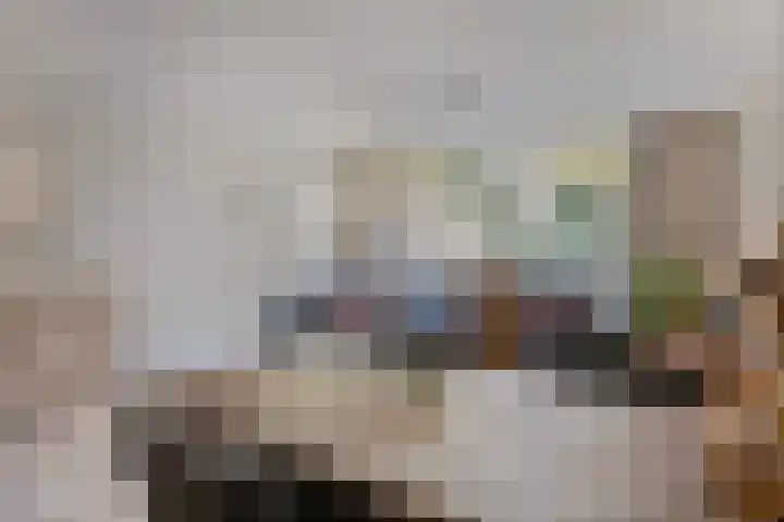 Staringstraat 84 Oss thumbnail 7