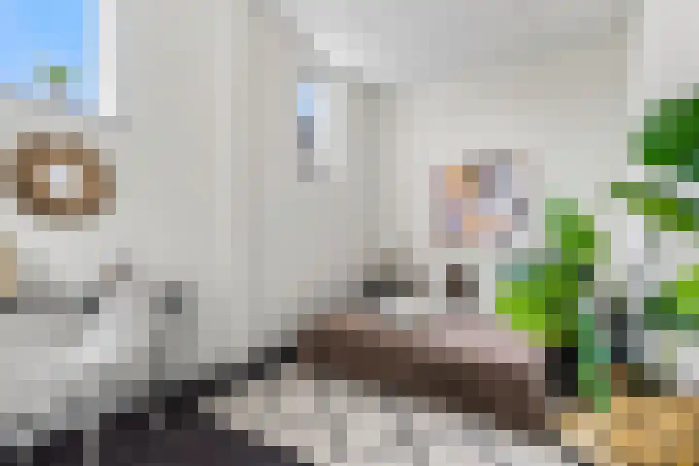 Staringstraat 85 Arnhem thumbnail 4