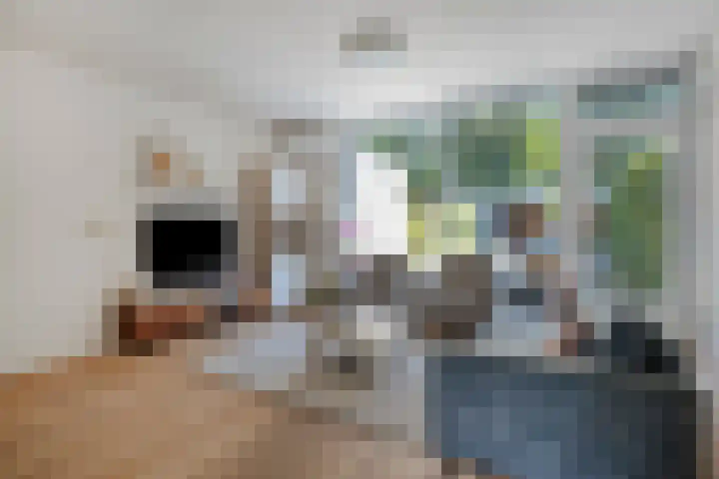 Staringstraat 86 Oss thumbnail 10