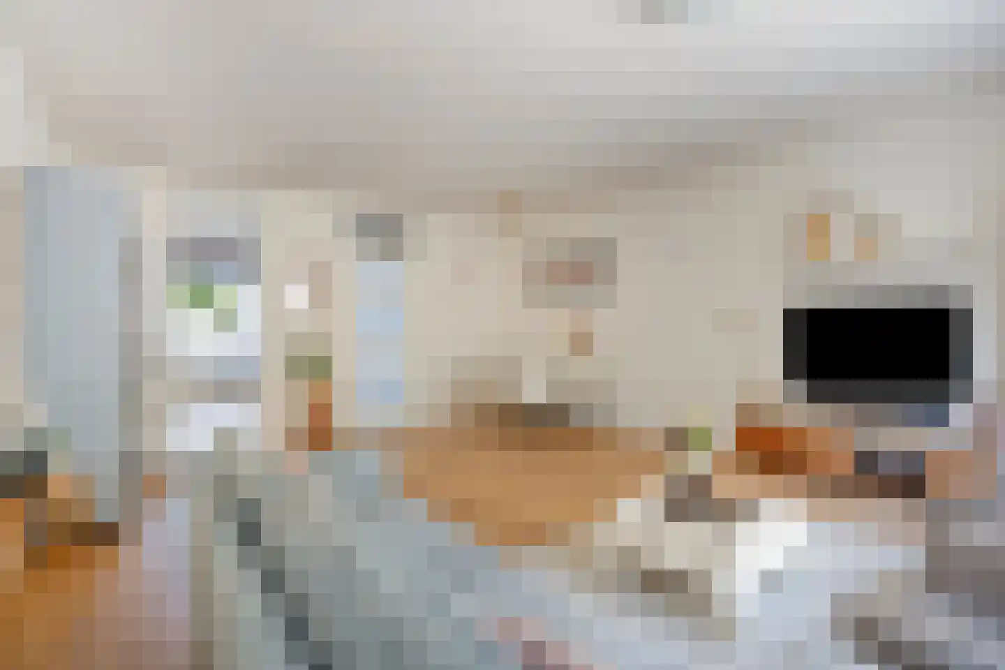 Staringstraat 86 Oss thumbnail 11