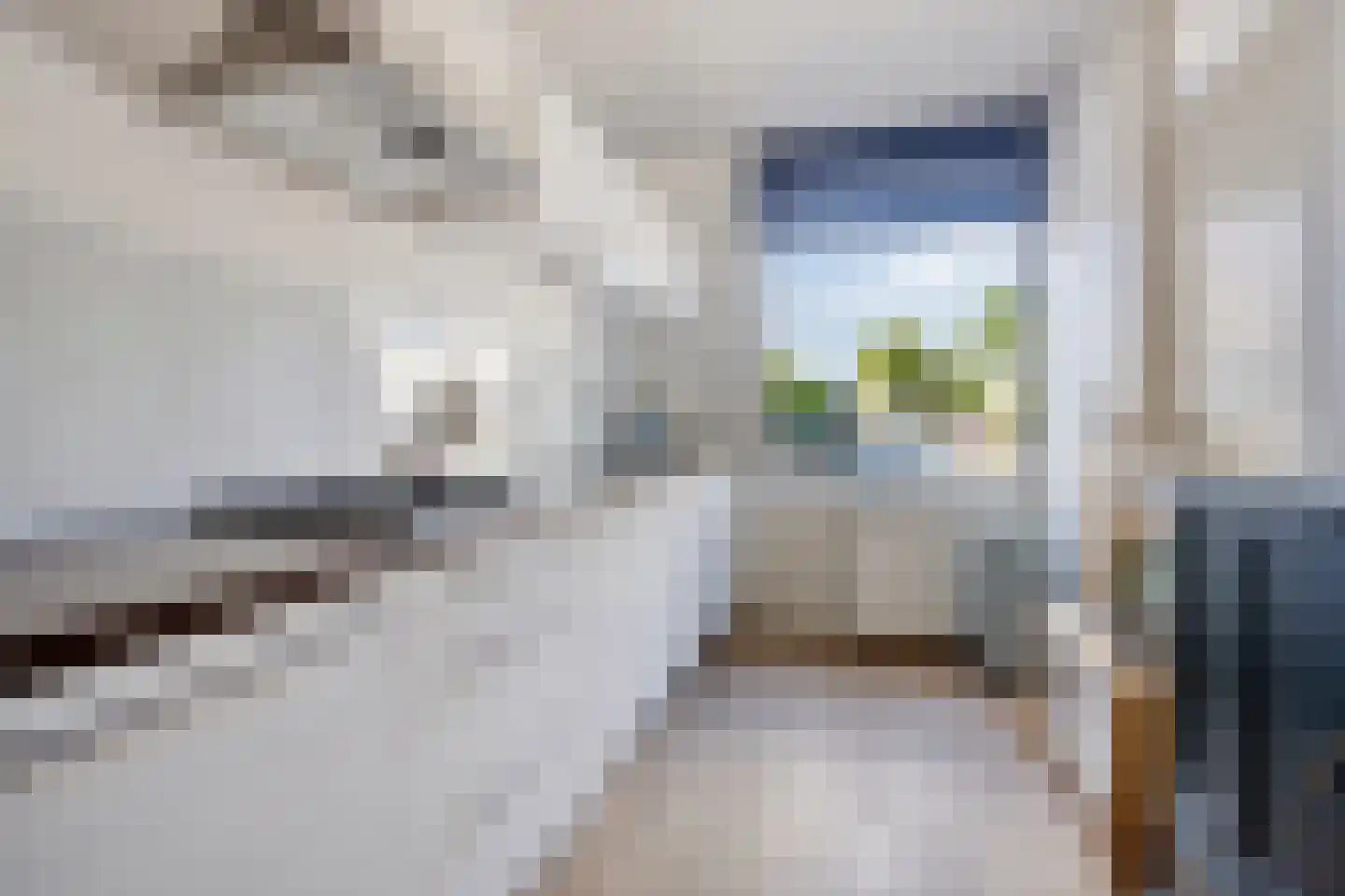 Staringstraat 86 Oss thumbnail 13
