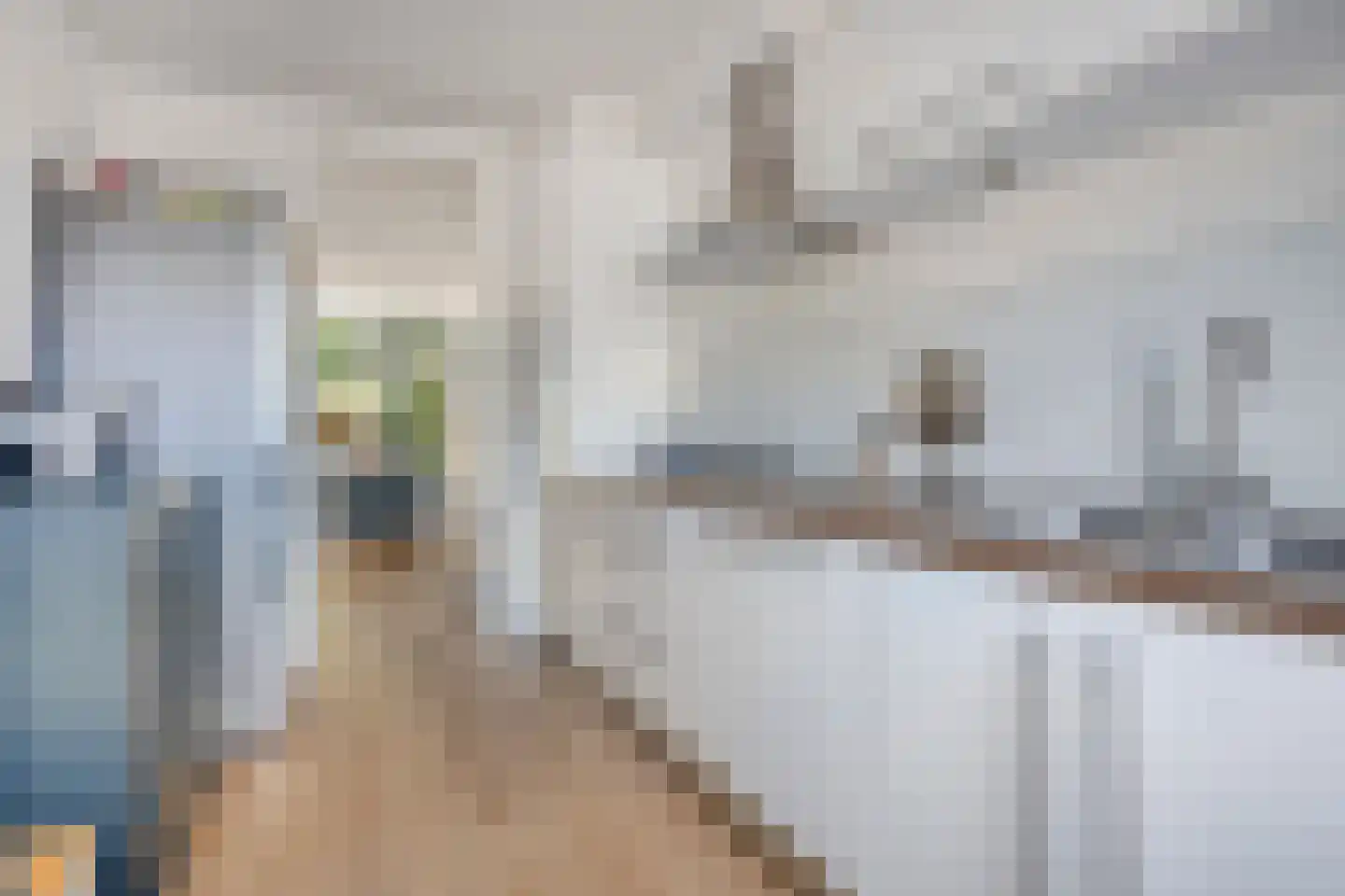 Staringstraat 86 Oss thumbnail 15