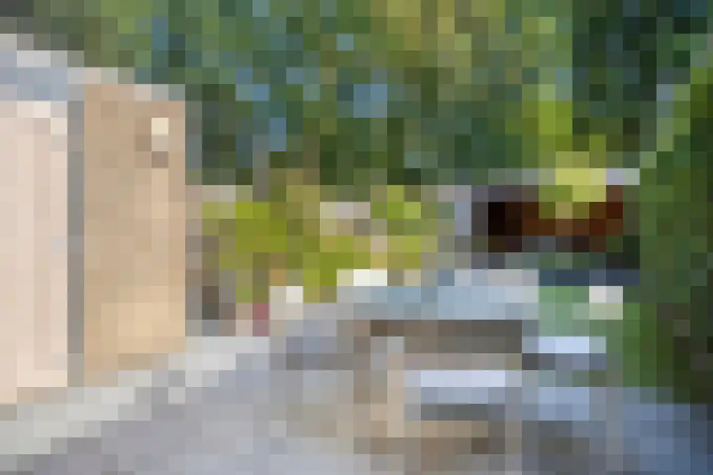 Staringstraat 86 Oss thumbnail 25