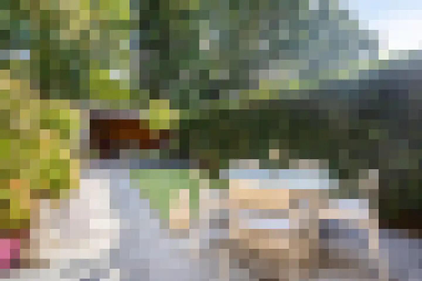 Staringstraat 86 Oss thumbnail 26