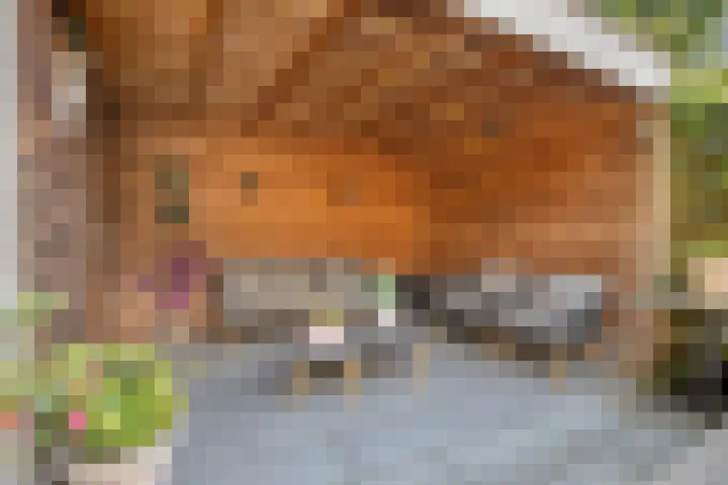 Staringstraat 86 Oss thumbnail 28