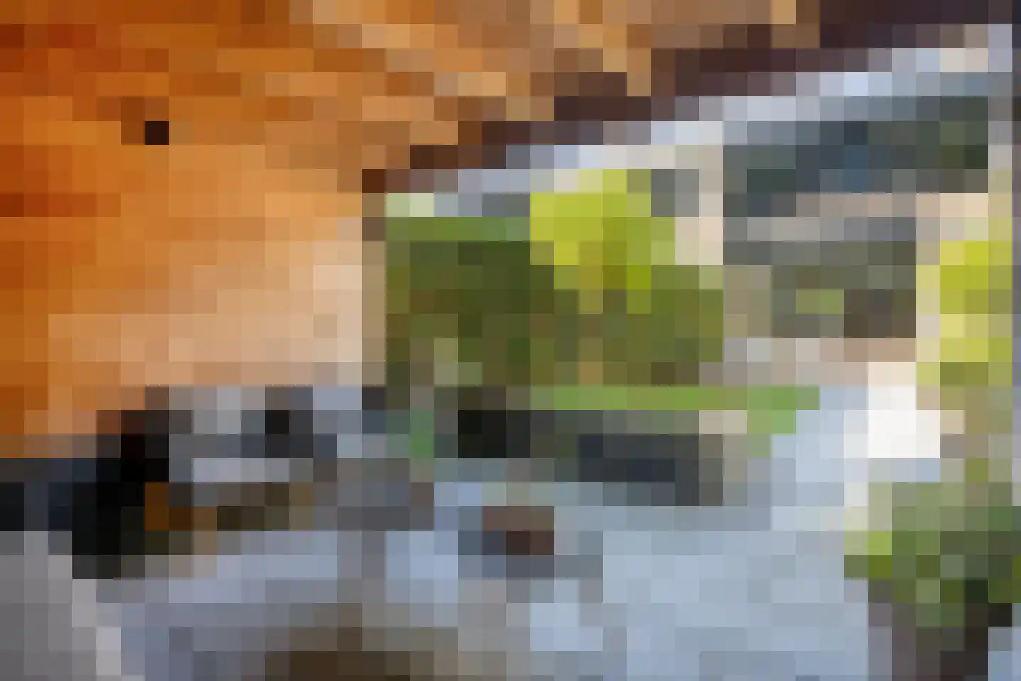 Staringstraat 86 Oss thumbnail 29